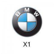Filtro de partículas BMW X1